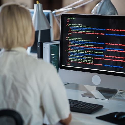 Customer Software Development